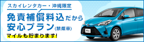 〔沖縄〕スカイレンタカー　沖縄！免責補償料込だから安心プラン！